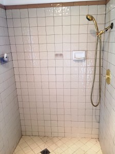 before photo of a shower remodel